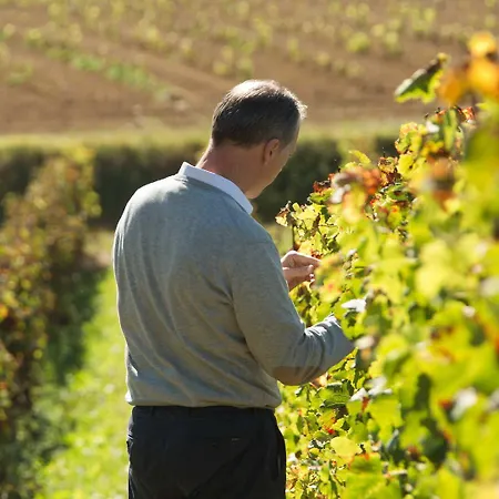 Teritoria - Chateau Fage - Saint-emilion 4* Arveyres